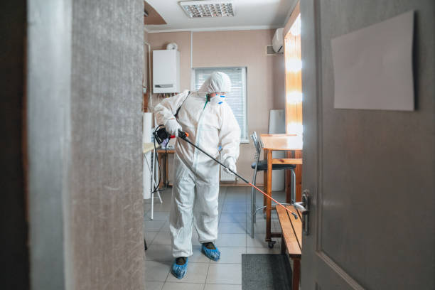 Best Mold Remediation for Healthcare Facilities  in Pahala, HI