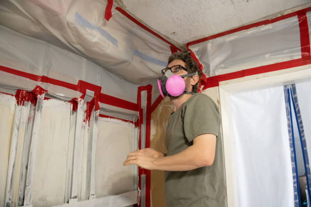 Trusted Pahala, HI Mold Inspection, Removal & Remediation Experts